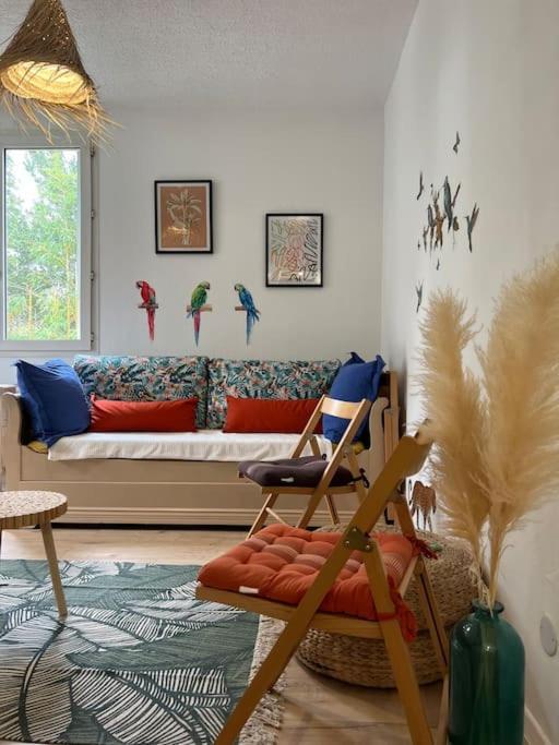 Appartement Balinais Lumineux Et Calme อาวีญง ภายนอก รูปภาพ